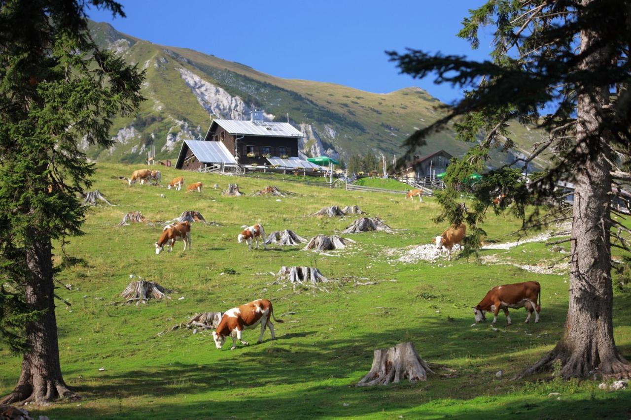 Villa Glamping Mountain Fairy Tale Bistrica pri Trzicu Exterior foto